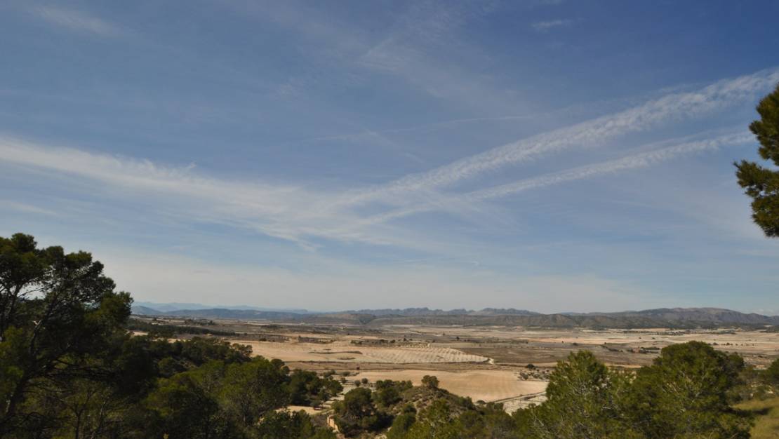 Sale - Land - Jumilla - La Zarza
