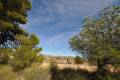 Sale - Land - Jumilla - La Zarza