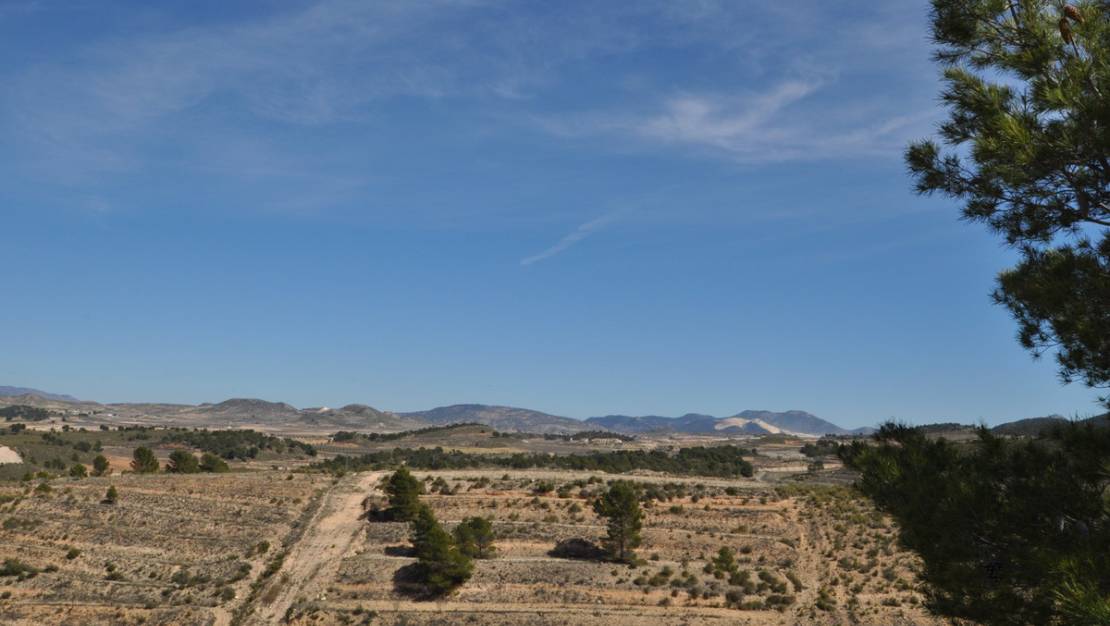 Sale - Land - Jumilla - La Zarza