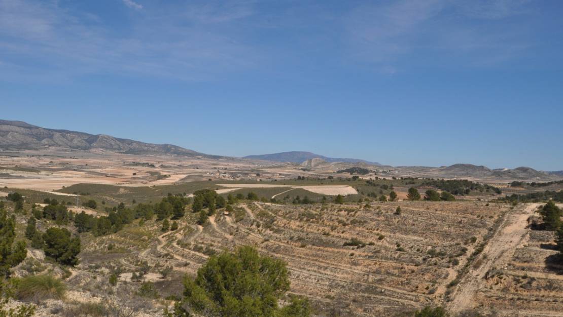 Sale - Land - Jumilla - La Zarza
