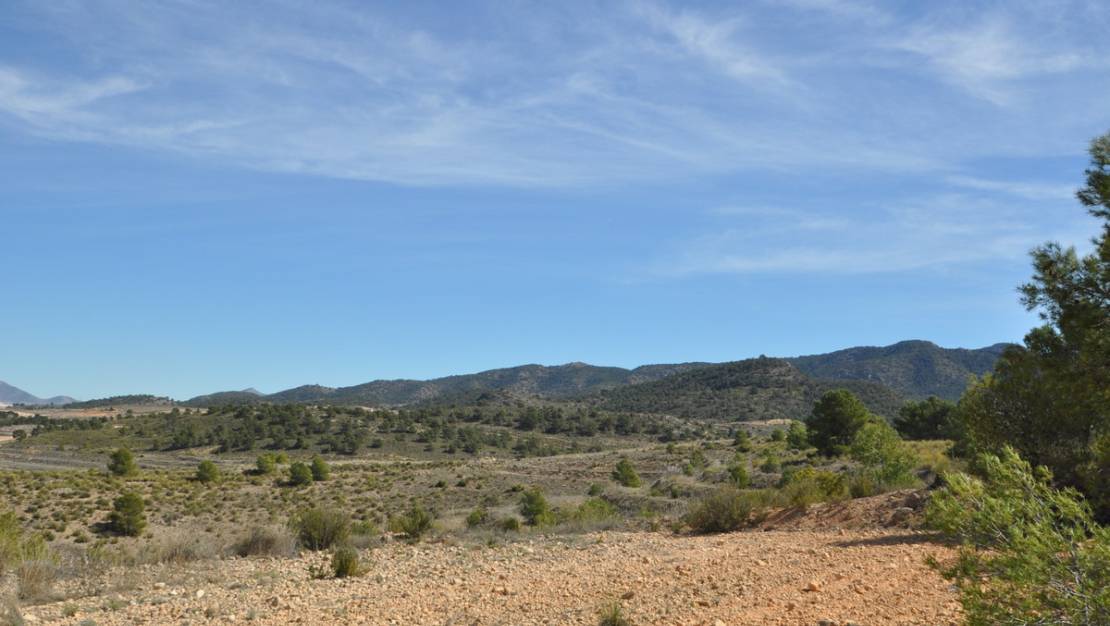 Sale - Land - Jumilla - La Zarza
