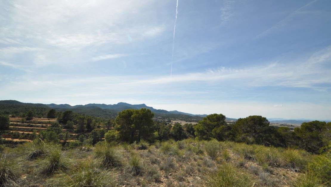 Sale - Land - Jumilla - La Zarza