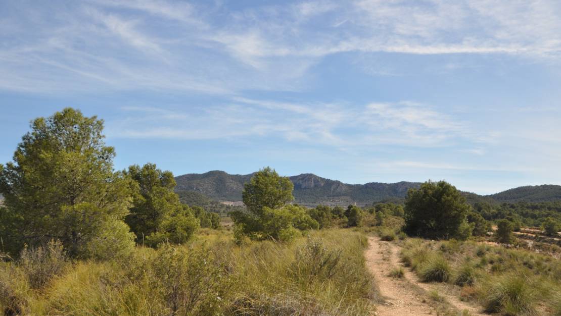 Sale - Land - Jumilla - La Zarza