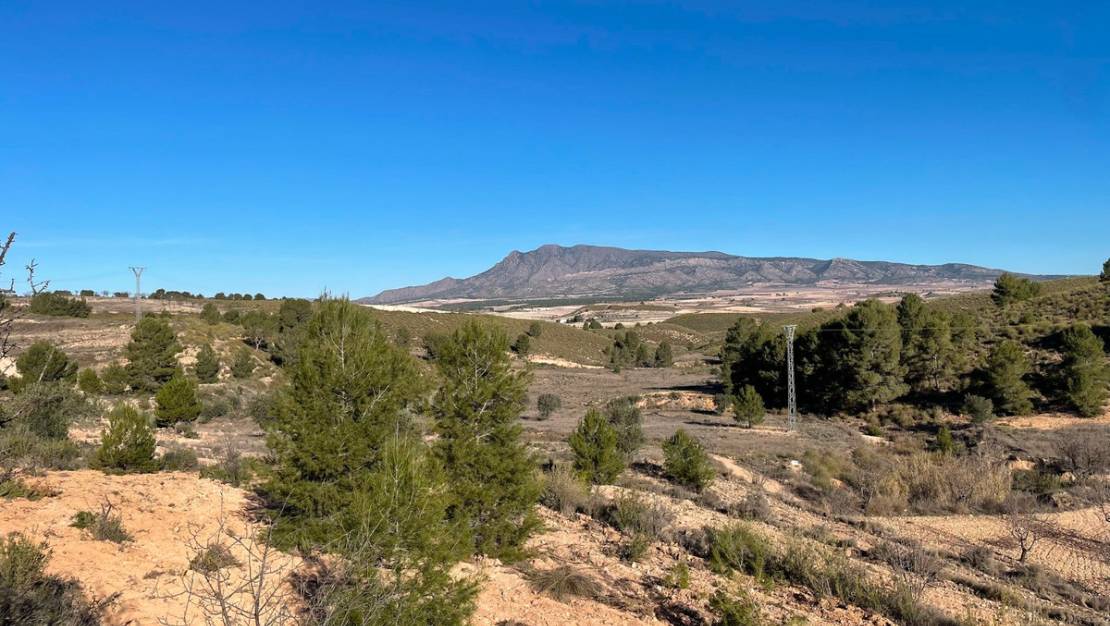 Sale - Land - Jumilla - La Zarza