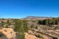 Sale - Land - Jumilla - La Zarza
