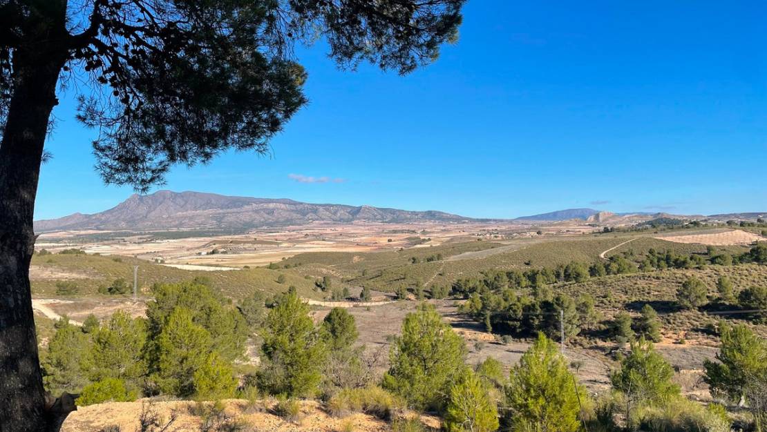 Sale - Land - Jumilla - La Zarza