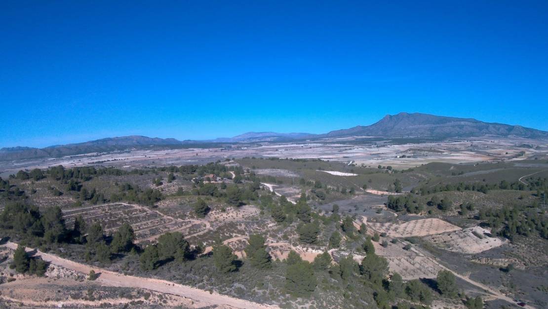 Sale - Land - Jumilla - La Zarza