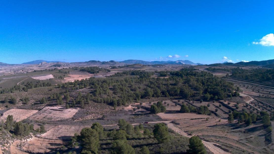 Sale - Land - Jumilla - La Zarza