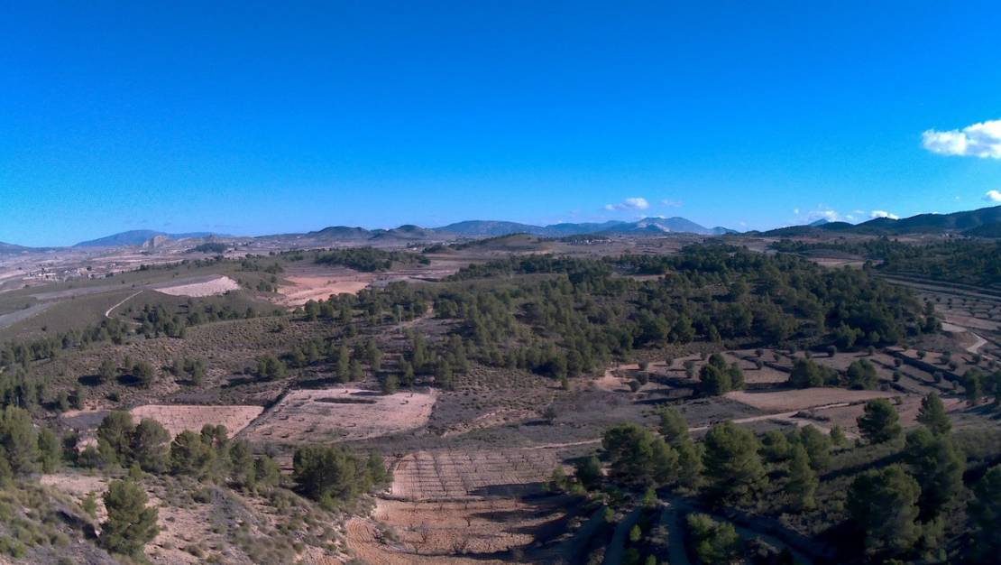 Sale - Land - Jumilla - La Zarza
