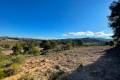 Sale - Land - Jumilla - La Zarza