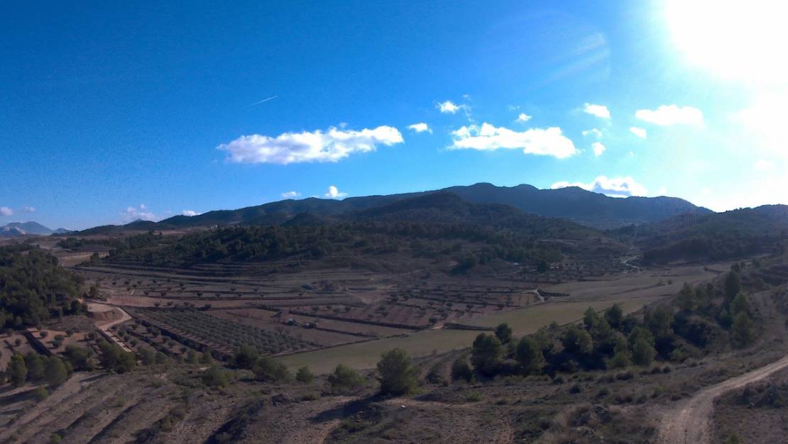 Sale - Land - Jumilla - La Zarza