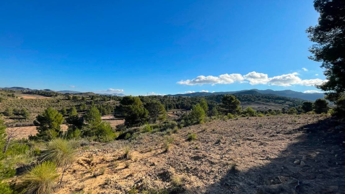 Sale - Land - Jumilla - La Zarza