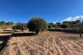 Sale - Land - Jumilla - La Zarza