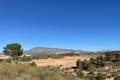 Sale - Land - Jumilla - La Zarza