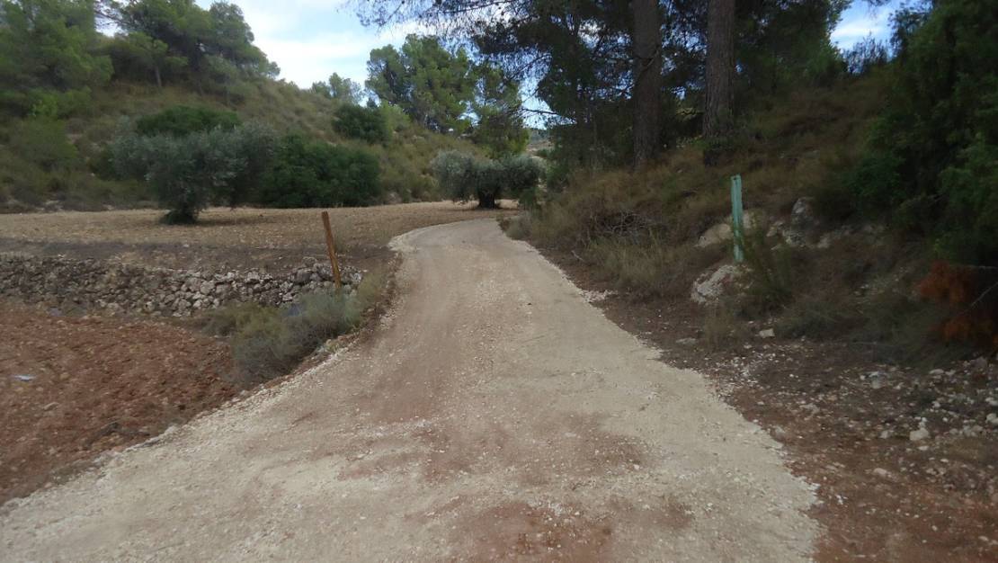 Sale - Land - Jumilla - La Zarza