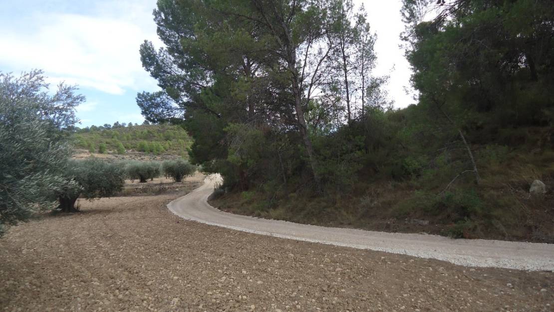 Sale - Land - Jumilla - La Zarza