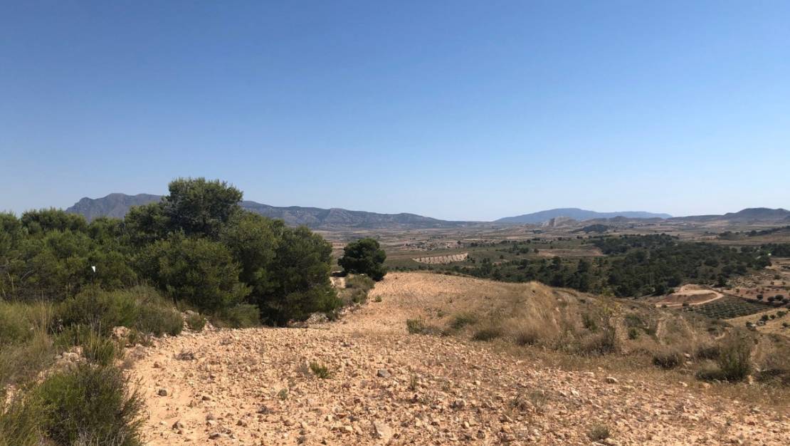 Sale - Land - Jumilla - La Zarza