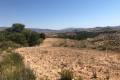 Sale - Land - Jumilla - La Zarza