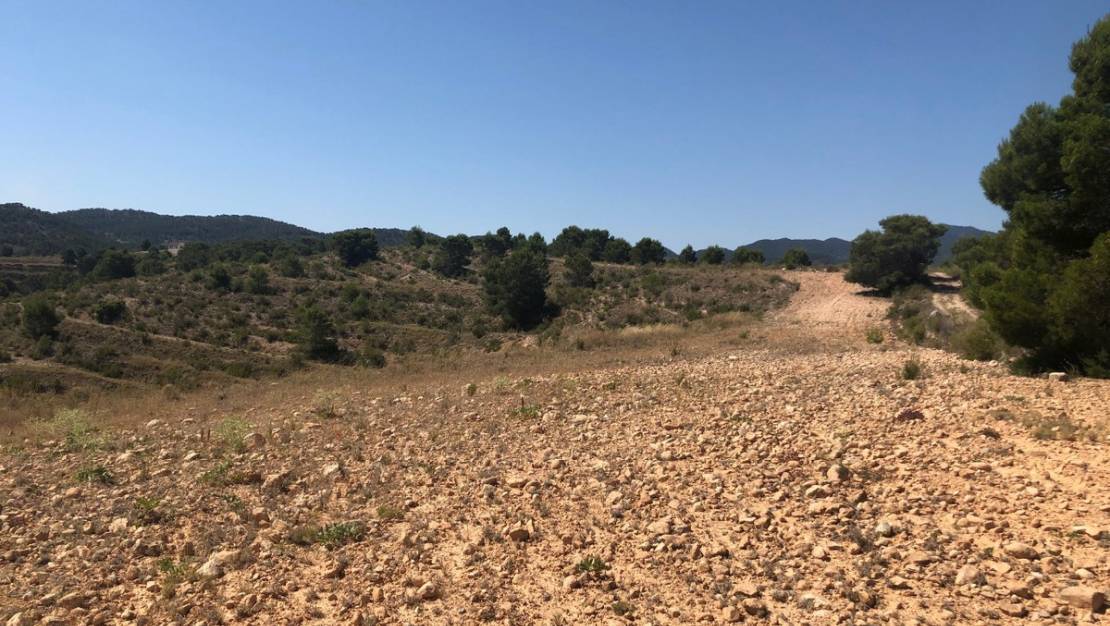 Sale - Land - Jumilla - La Zarza