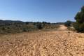 Sale - Land - Jumilla - La Zarza