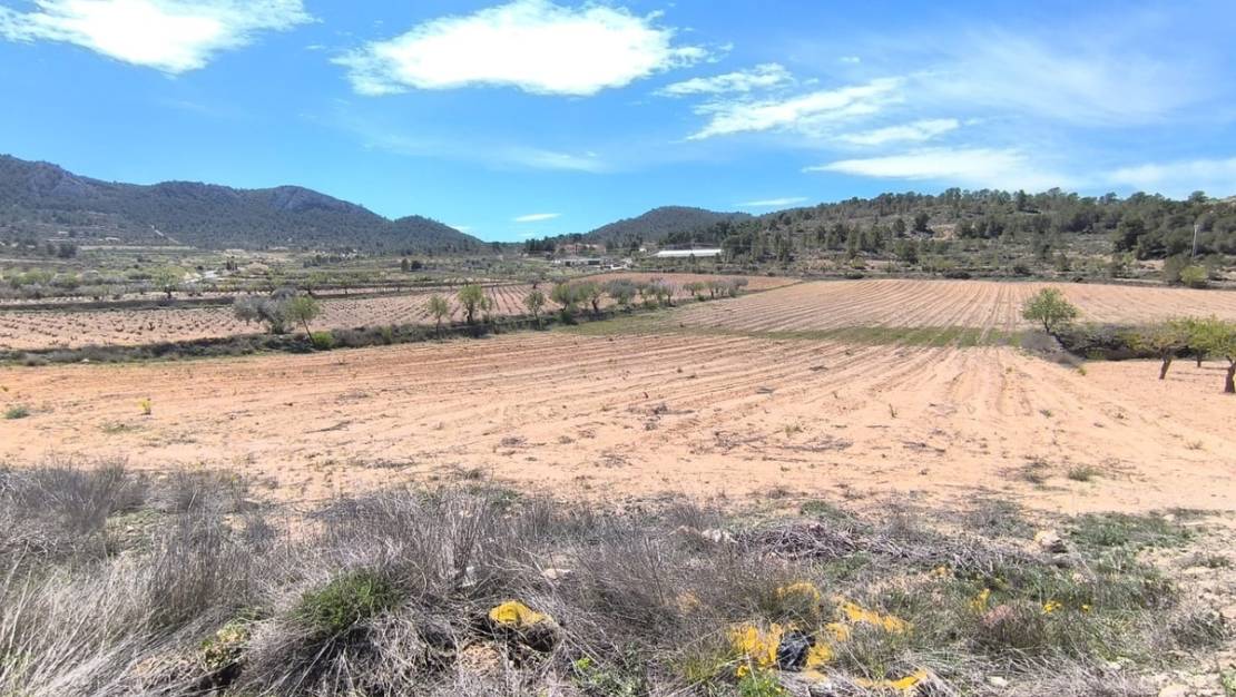 Sale - Land - Jumilla - La Zarza