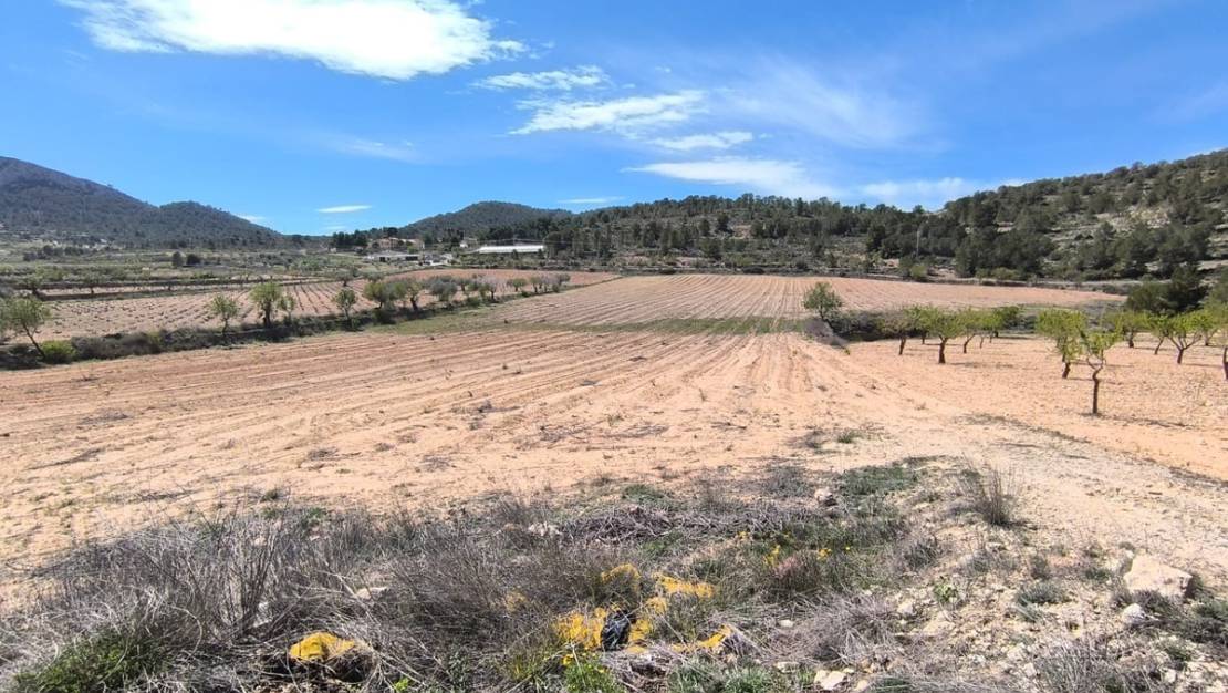 Sale - Land - Jumilla - La Zarza