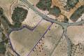 Sale - Land - Jumilla - La Zarza