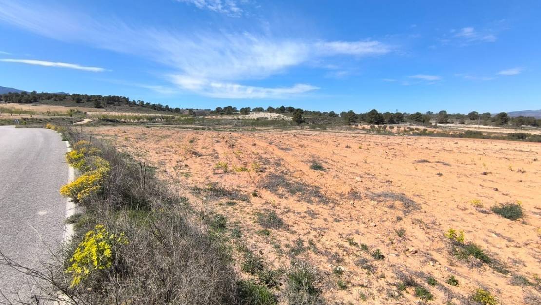 Sale - Land - Jumilla - La Zarza
