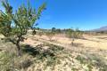 Sale - Land - Jumilla - La Zarza