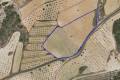Sale - Land - Jumilla - La Zarza