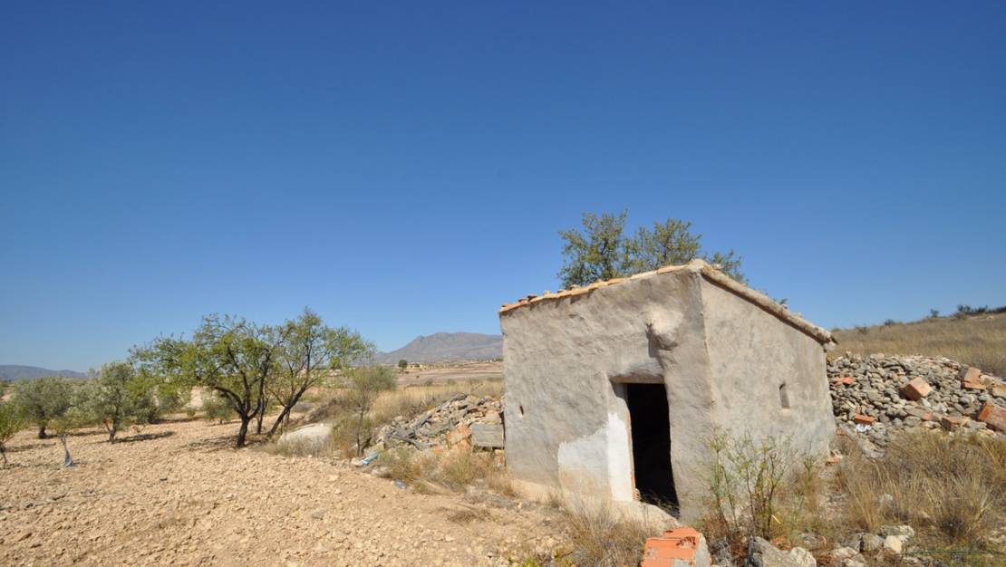 Sale - Land - Jumilla - Torre Del Rico