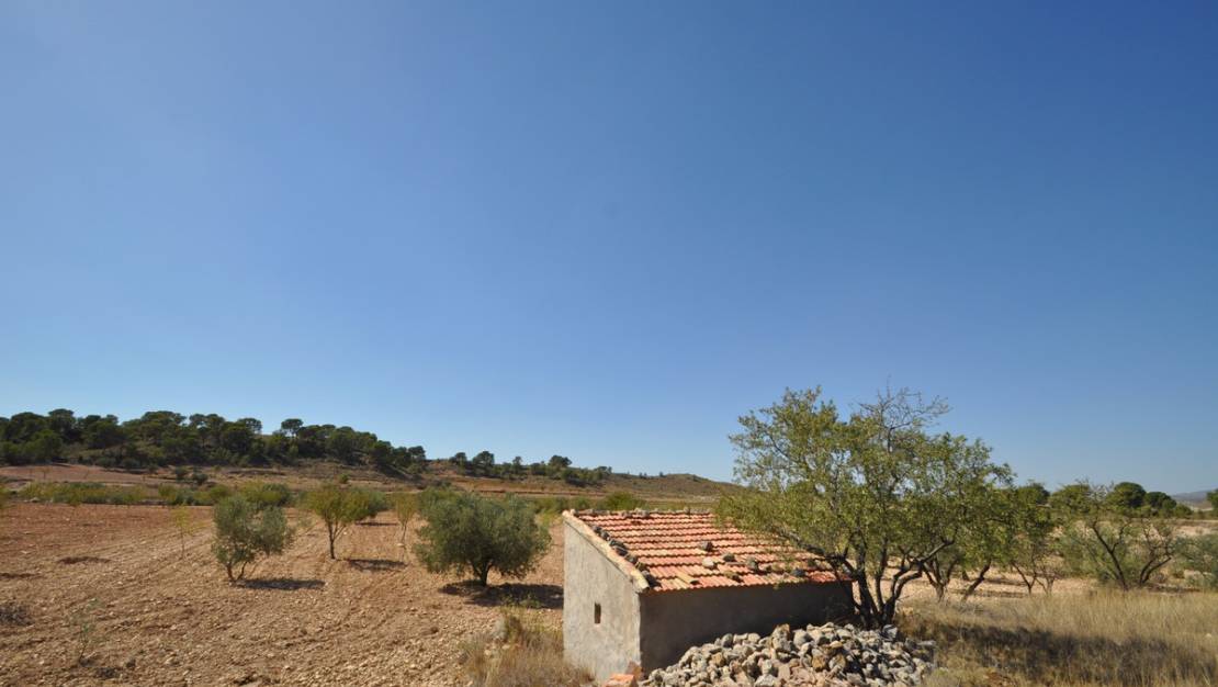 Sale - Land - Jumilla - Torre Del Rico