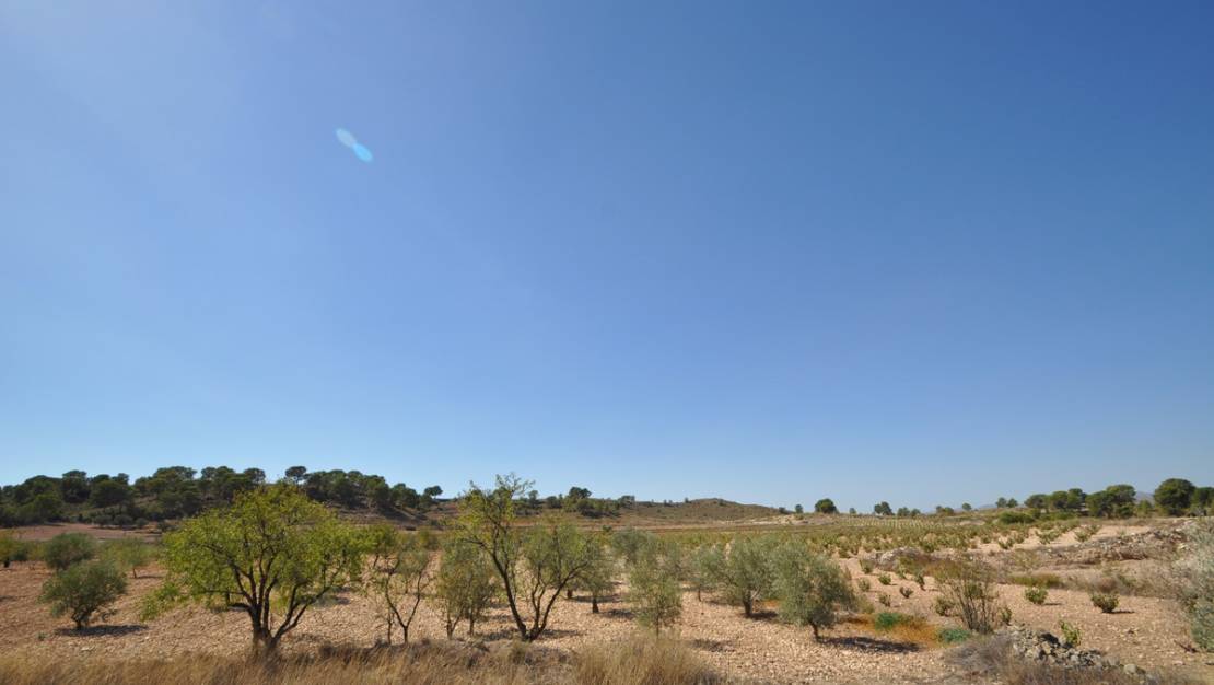 Sale - Land - Jumilla - Torre Del Rico