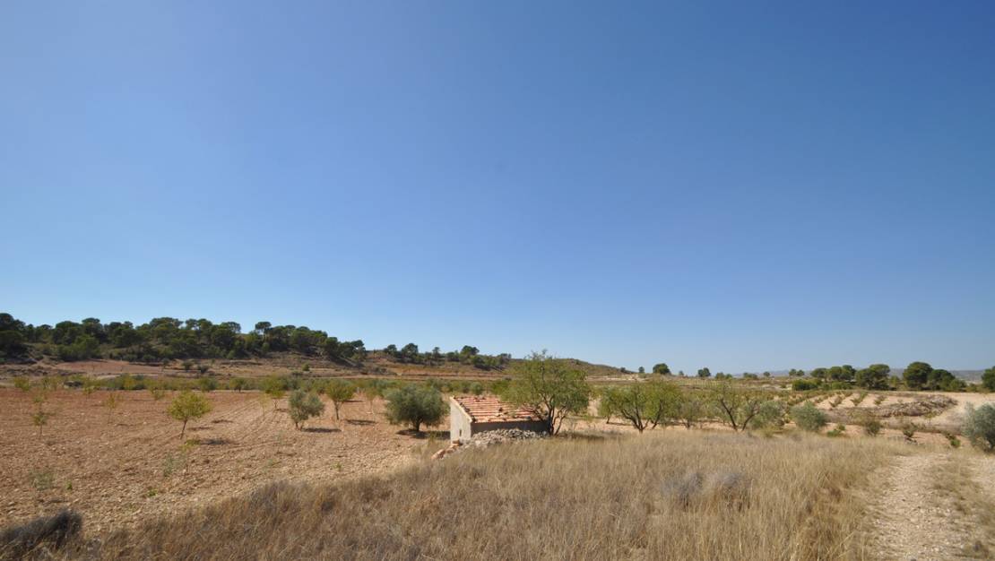 Sale - Land - Jumilla - Torre Del Rico