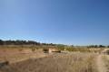 Sale - Land - Jumilla - Torre Del Rico
