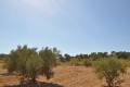 Sale - Land - Jumilla - Torre Del Rico