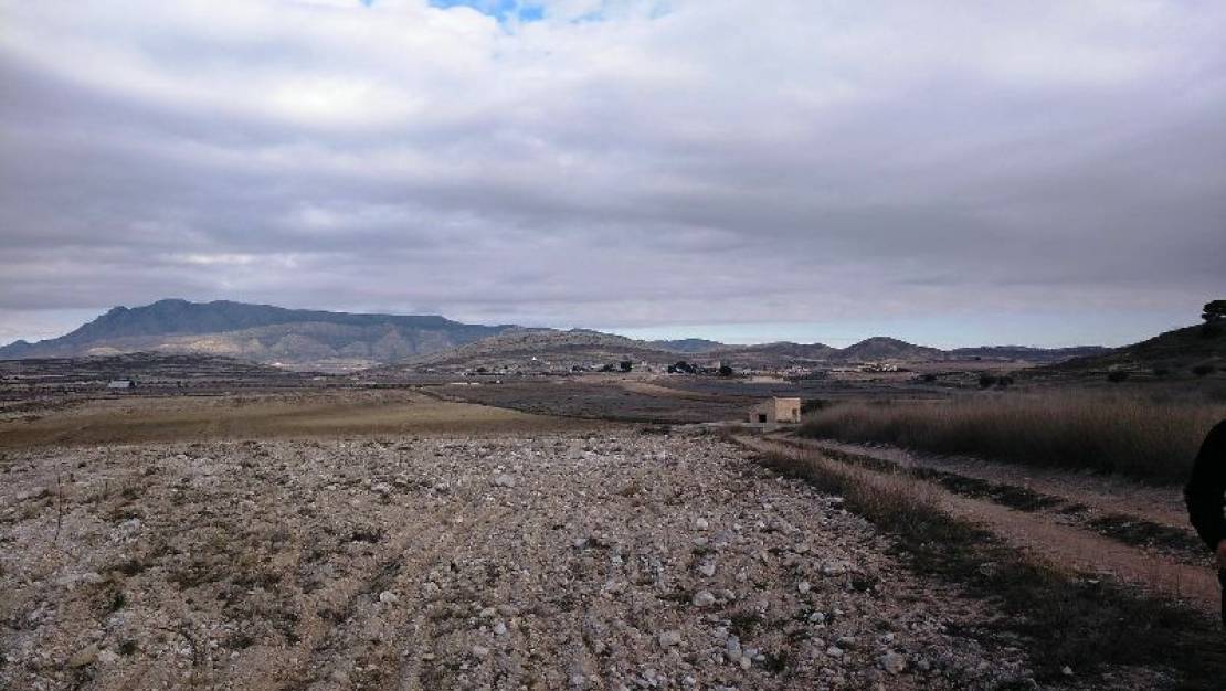 Sale - Land - Jumilla - Torre Del Rico