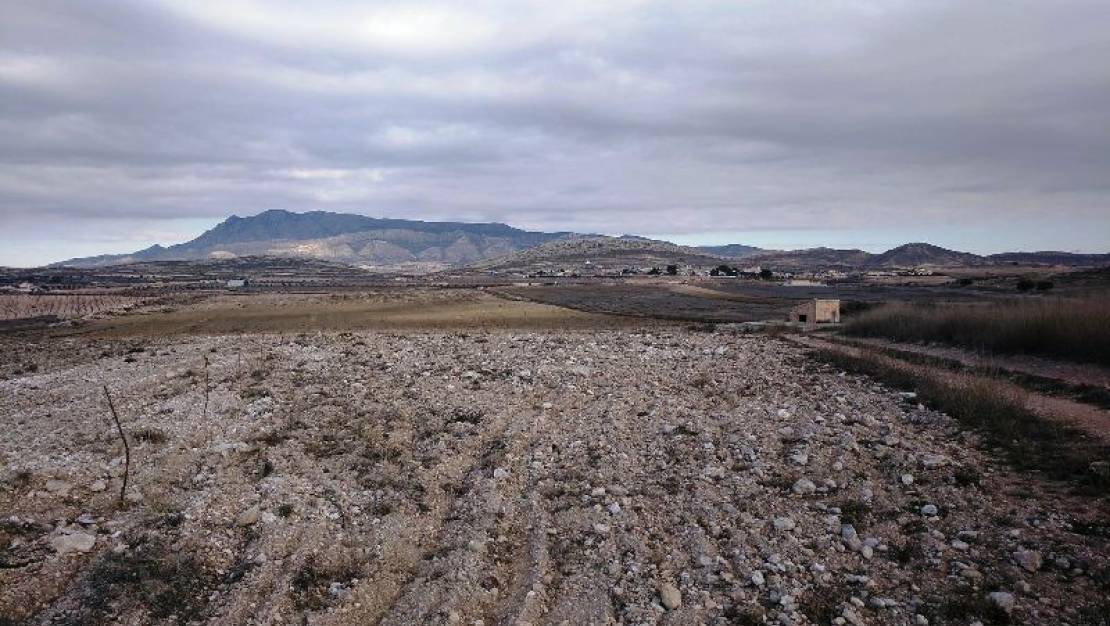 Sale - Land - Jumilla - Torre Del Rico