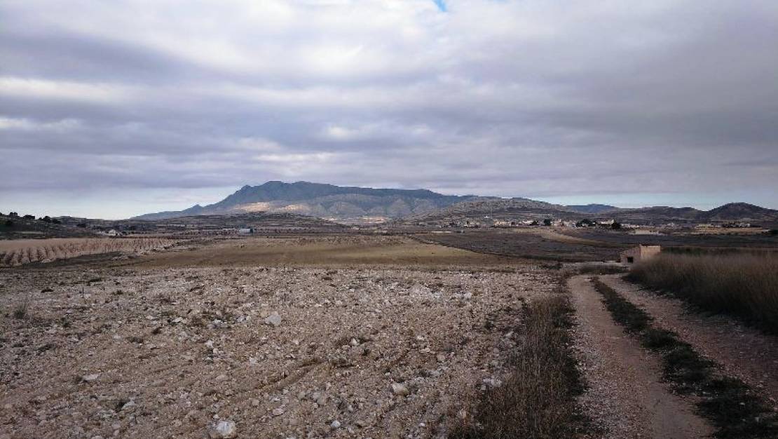 Sale - Land - Jumilla - Torre Del Rico