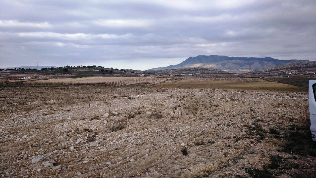 Sale - Land - Jumilla - Torre Del Rico