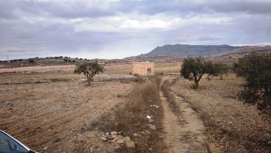 Sale - Land - Jumilla - Torre Del Rico