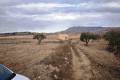 Sale - Land - Jumilla - Torre Del Rico