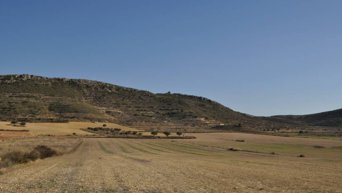 Sale - Land - Jumilla - Torre Del Rico