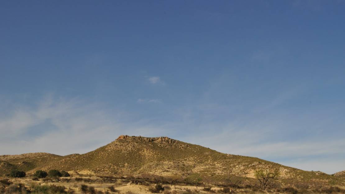 Sale - Land - Jumilla - Torre Del Rico