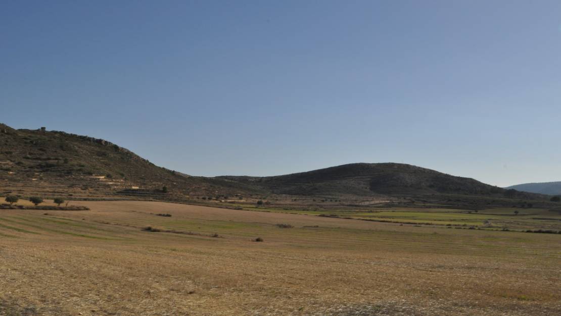 Sale - Land - Jumilla - Torre Del Rico