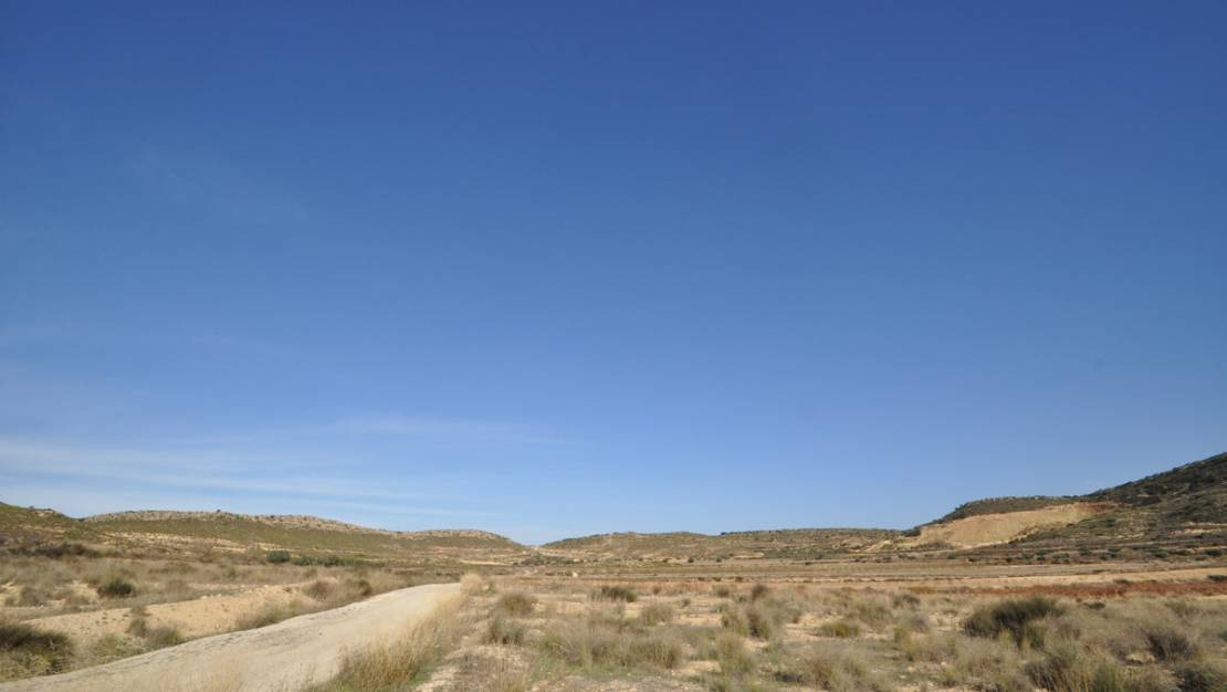 Sale - Land - Jumilla - Torre Del Rico