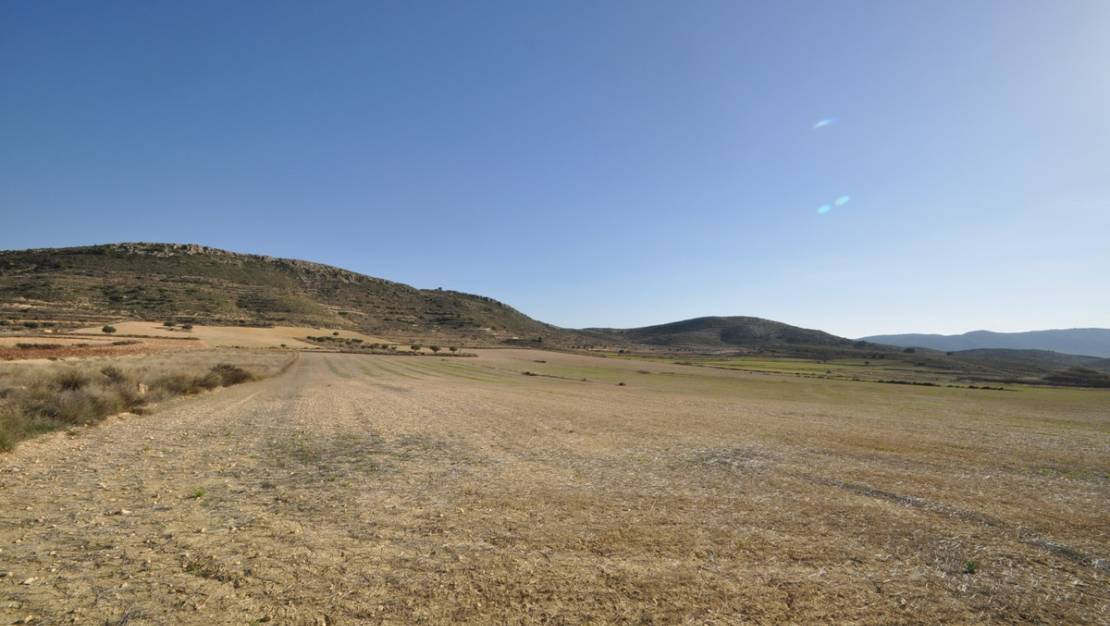 Sale - Land - Jumilla - Torre Del Rico