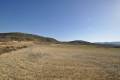 Sale - Land - Jumilla - Torre Del Rico