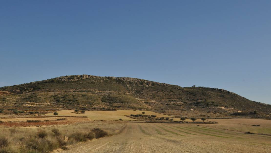 Sale - Land - Jumilla - Torre Del Rico