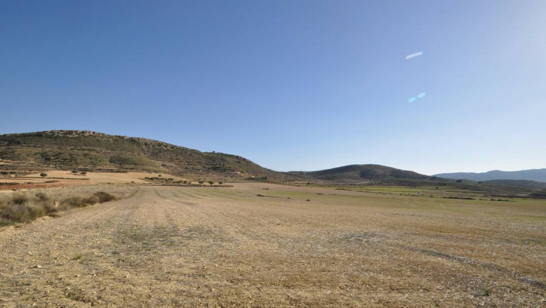 Sale - Land - Jumilla - Torre Del Rico